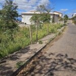 Lote urbano Tapeçaria (Vila dos Arraiolos) 300m2